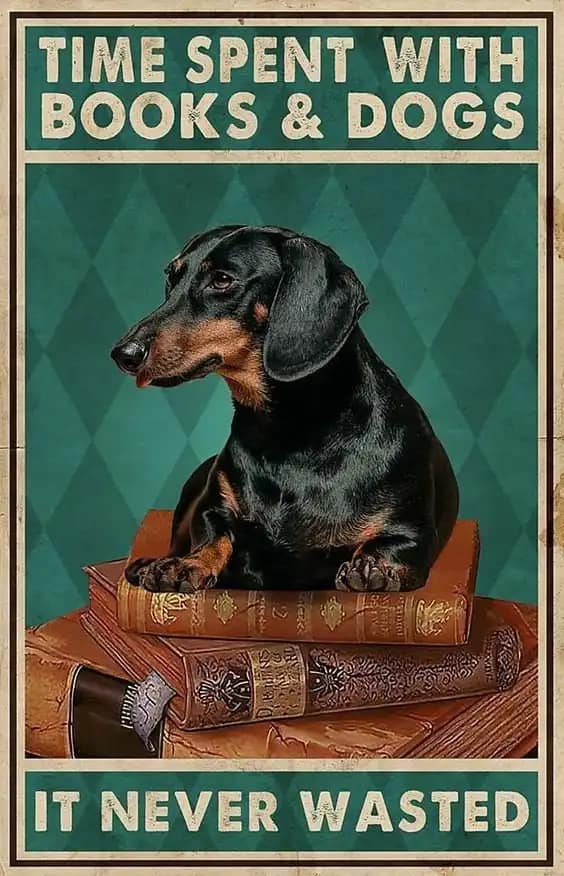 Time Spent With Books And Dogs It Never Wasted Poster