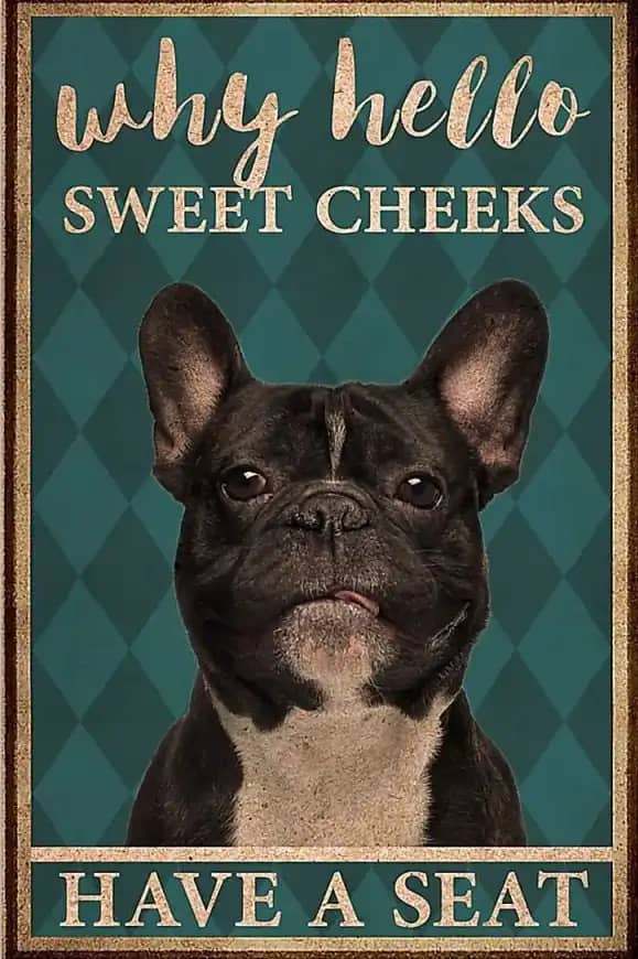 Why Hello Sweet Cheeks Have A Seat French Bulldog Toilet Poster
