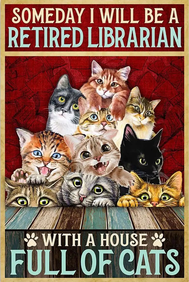 With A House Full Of Cats Gift For Family Friend Poster
